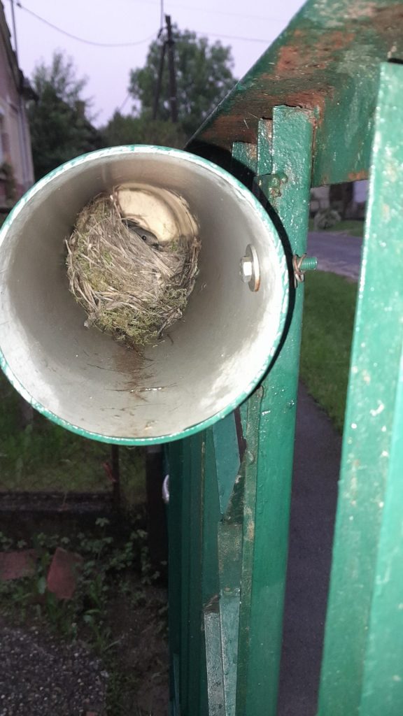 Posta láda? Igen. De ezt a tavasz hozta!